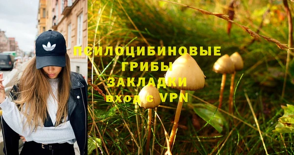 молекула духа Приозерск