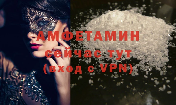 МДПВ Протвино