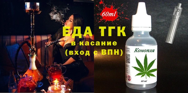 МДПВ Протвино