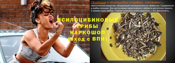 МДПВ Протвино