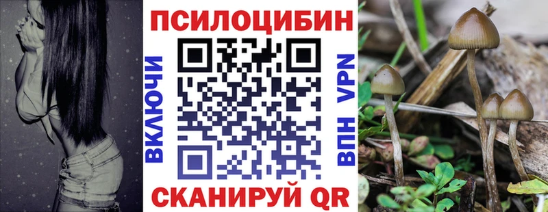 гидра сайт  где продают   Тында  Псилоцибиновые грибы MAGIC MUSHROOMS 
